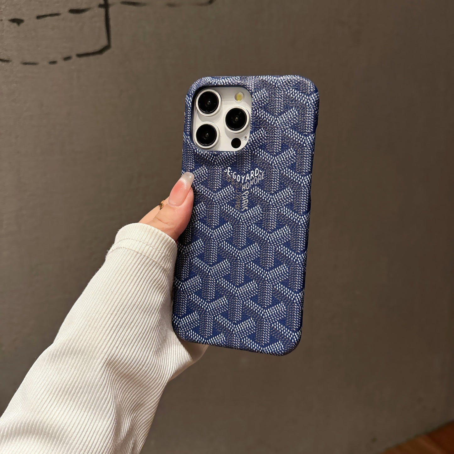 Goya Color iPhone Case mysite