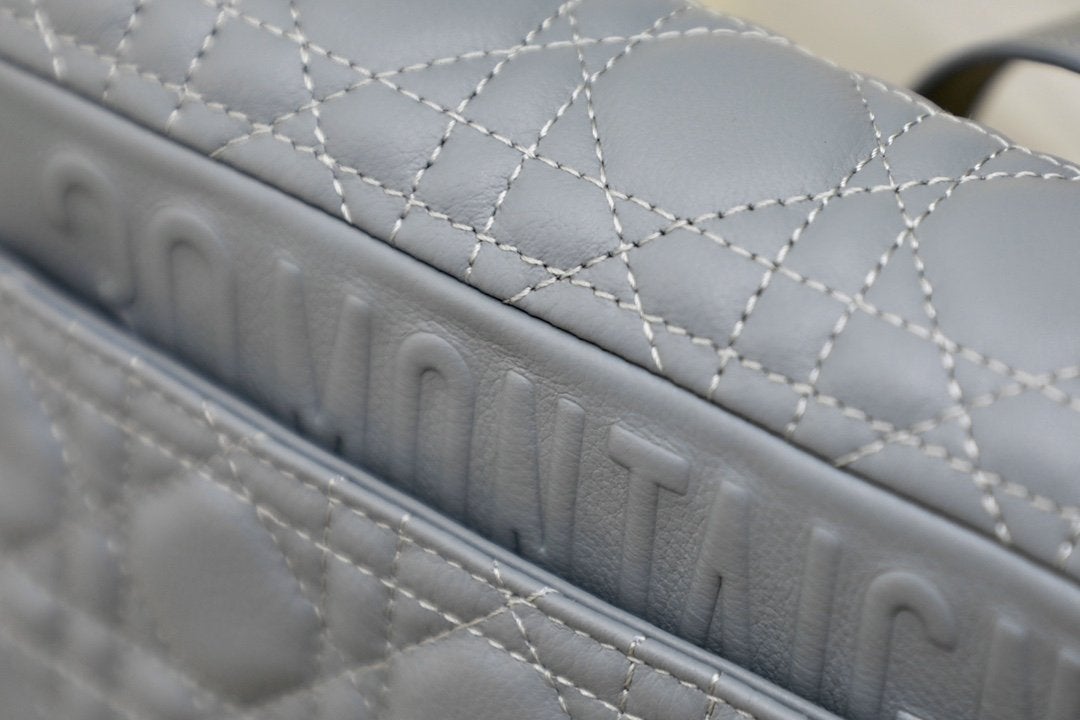 SMALL CARO BAG GRAY SUPPLE CANNAGE CALFSKIN mysite