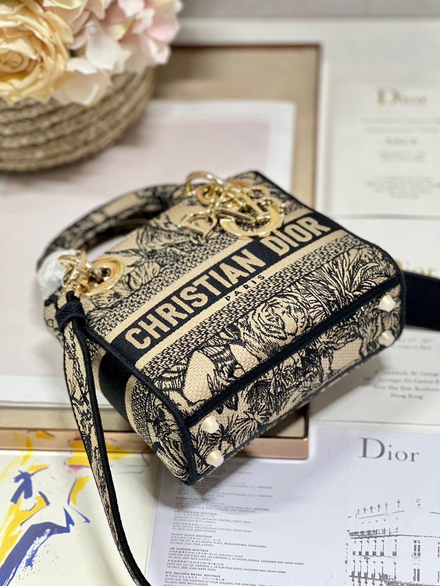 CD Elephant Apricot 17 Lady Dior Bag Canvas 336749 mysite