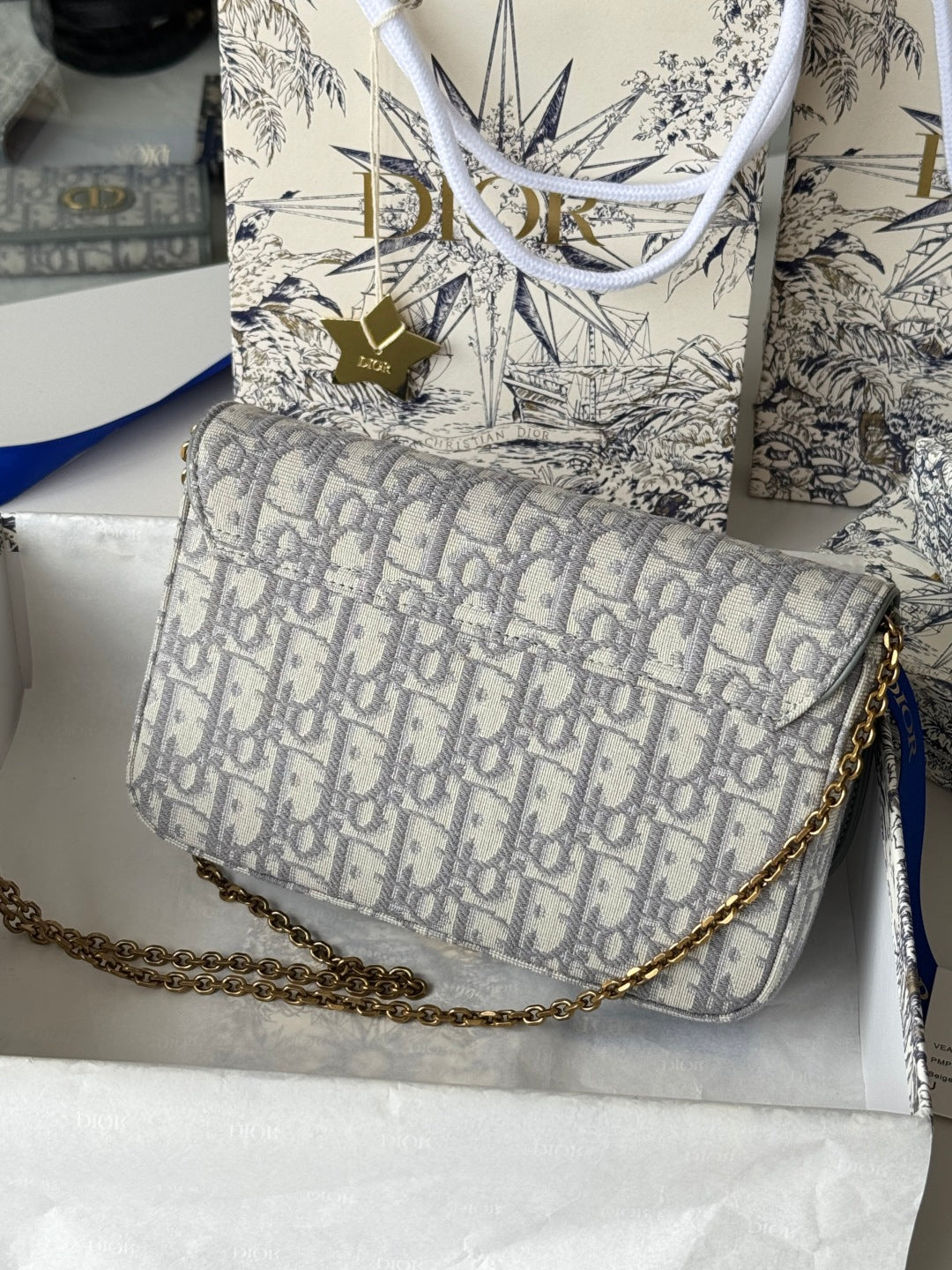 CD Medium Saddle Pouch with Chain 21.5cm Grayish Jacquard Cowhide GHW mysite