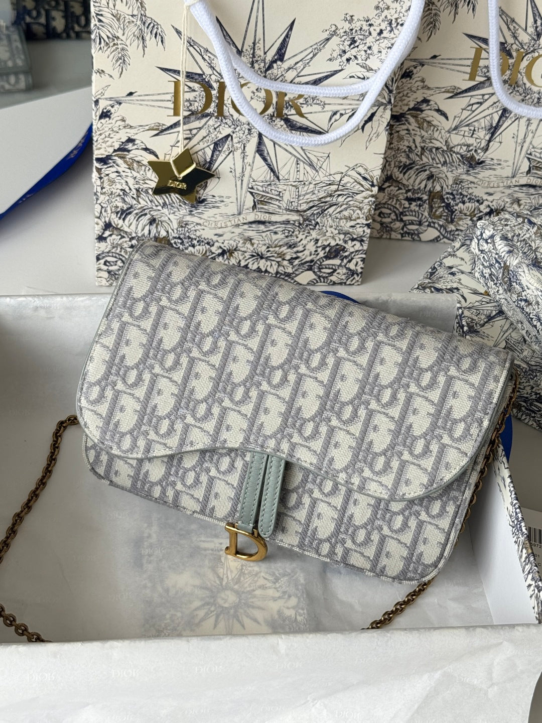 CD Medium Saddle Pouch with Chain 21.5cm Grayish Jacquard Cowhide GHW mysite