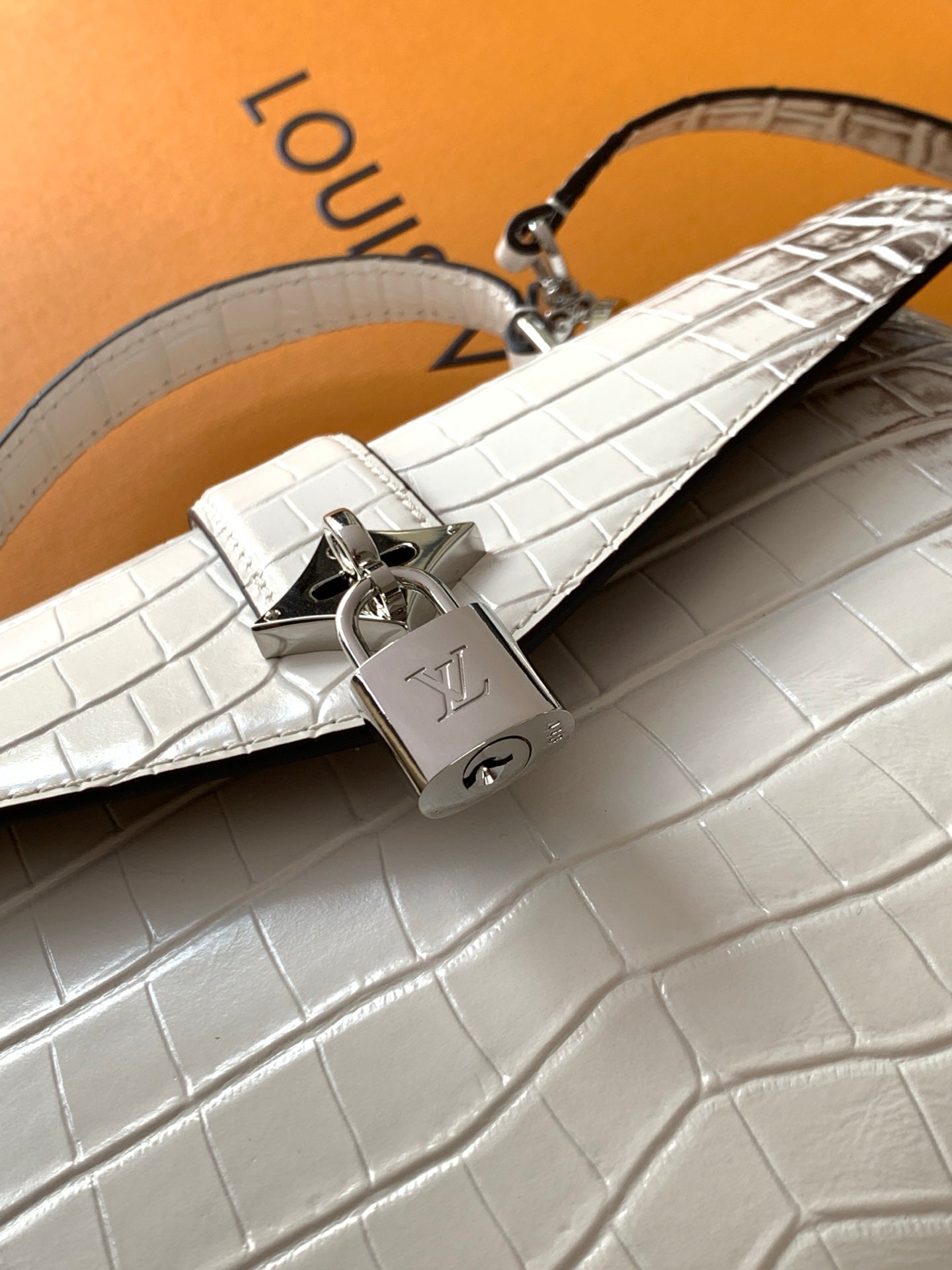 LV 25s Rose Des Vents Handbag 27cm White Crocodile Himalaya Metal HW mysite