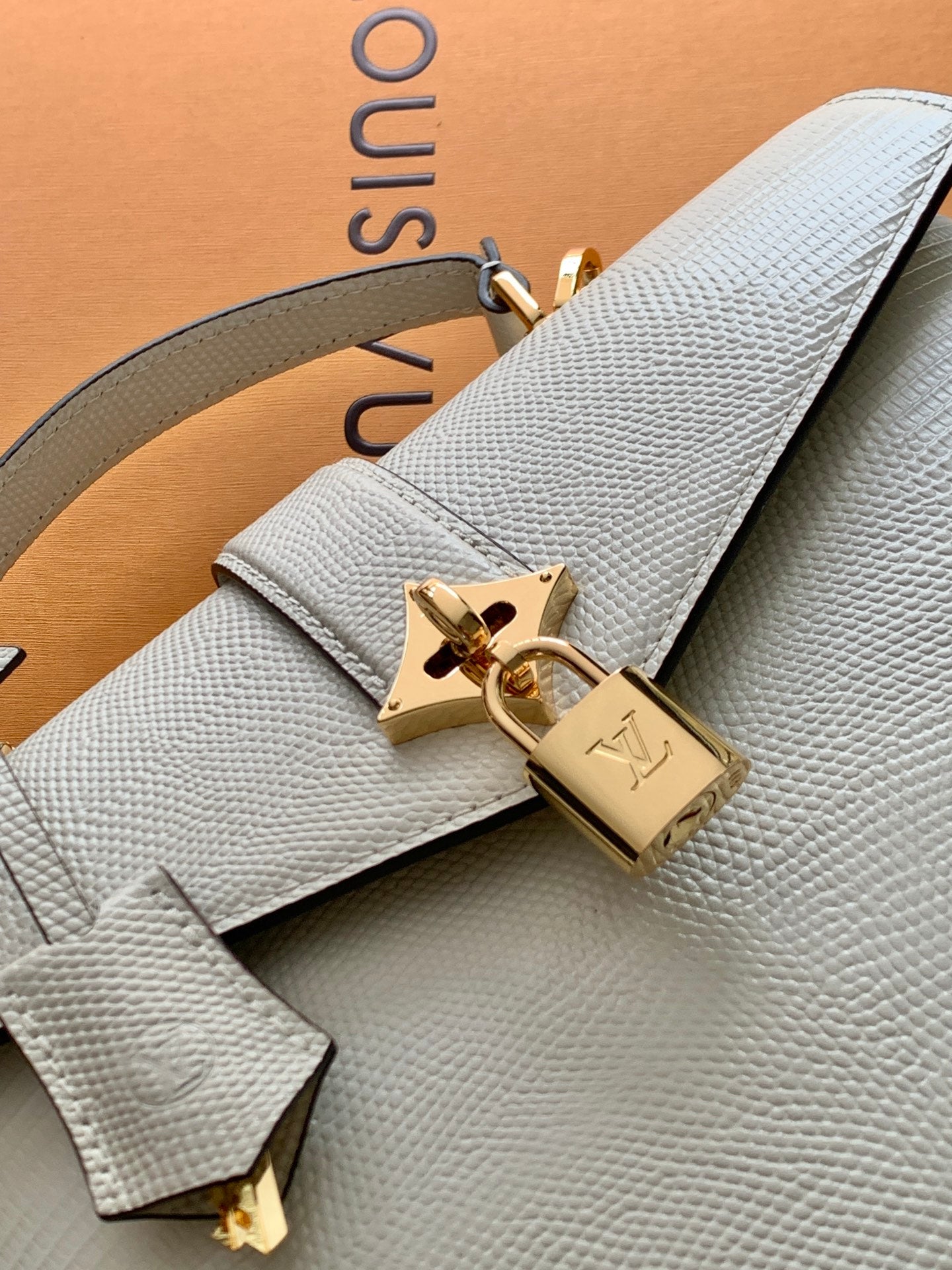 LV 25s Rose Des Vents Handbag 27cm White Lizard GHW mysite