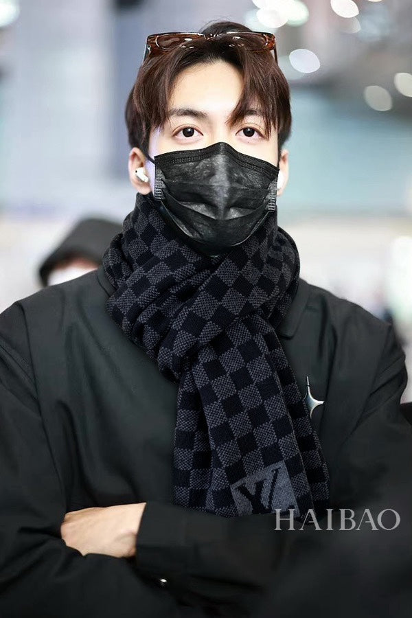 PETIT DAMIER SCARF 170 CM IN BLACK CASHMERE 390784 mysite