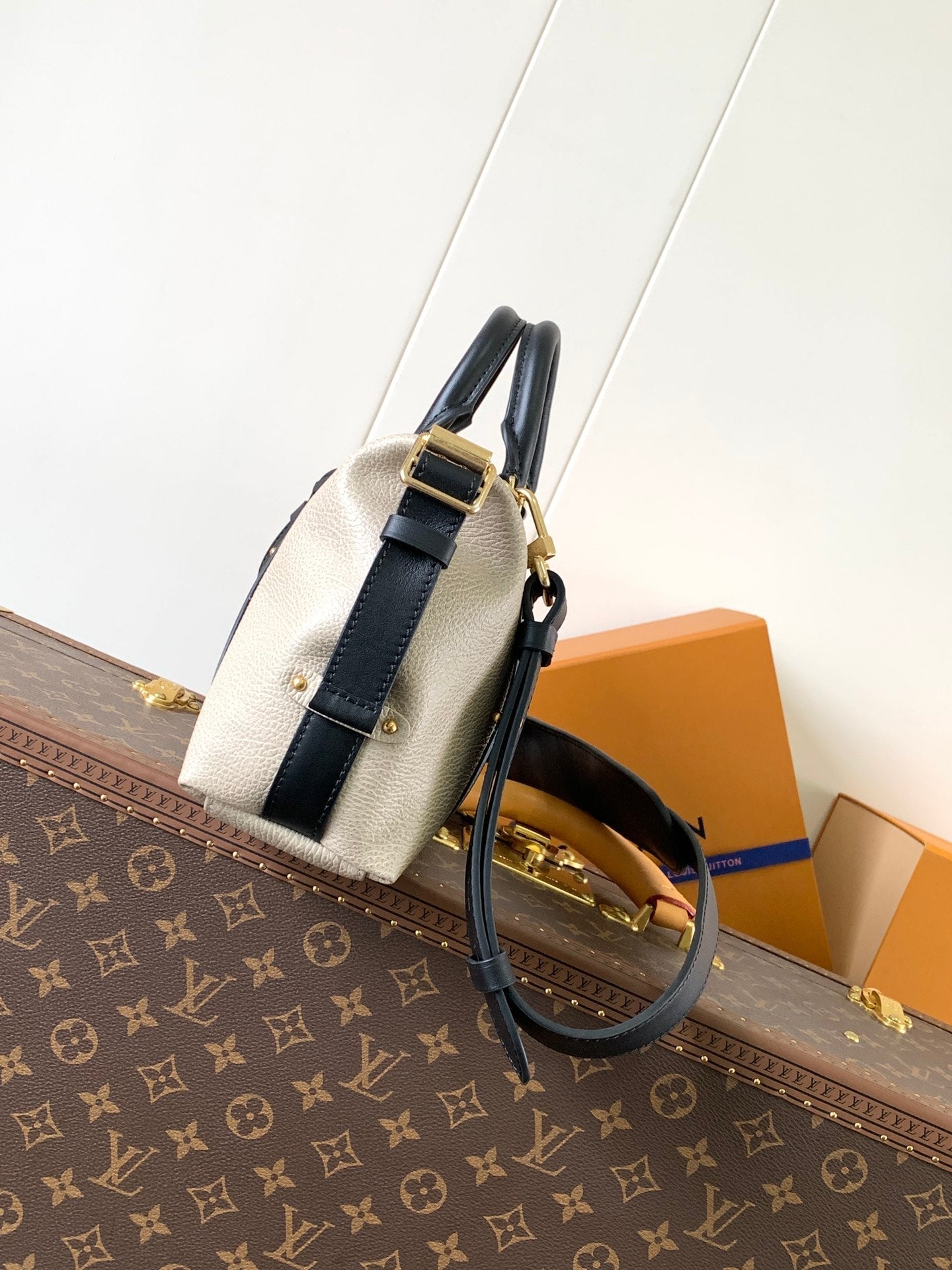 LV Nano LV Biker 30cm Black Beige Sheepskin & Cowhide Metal mysite