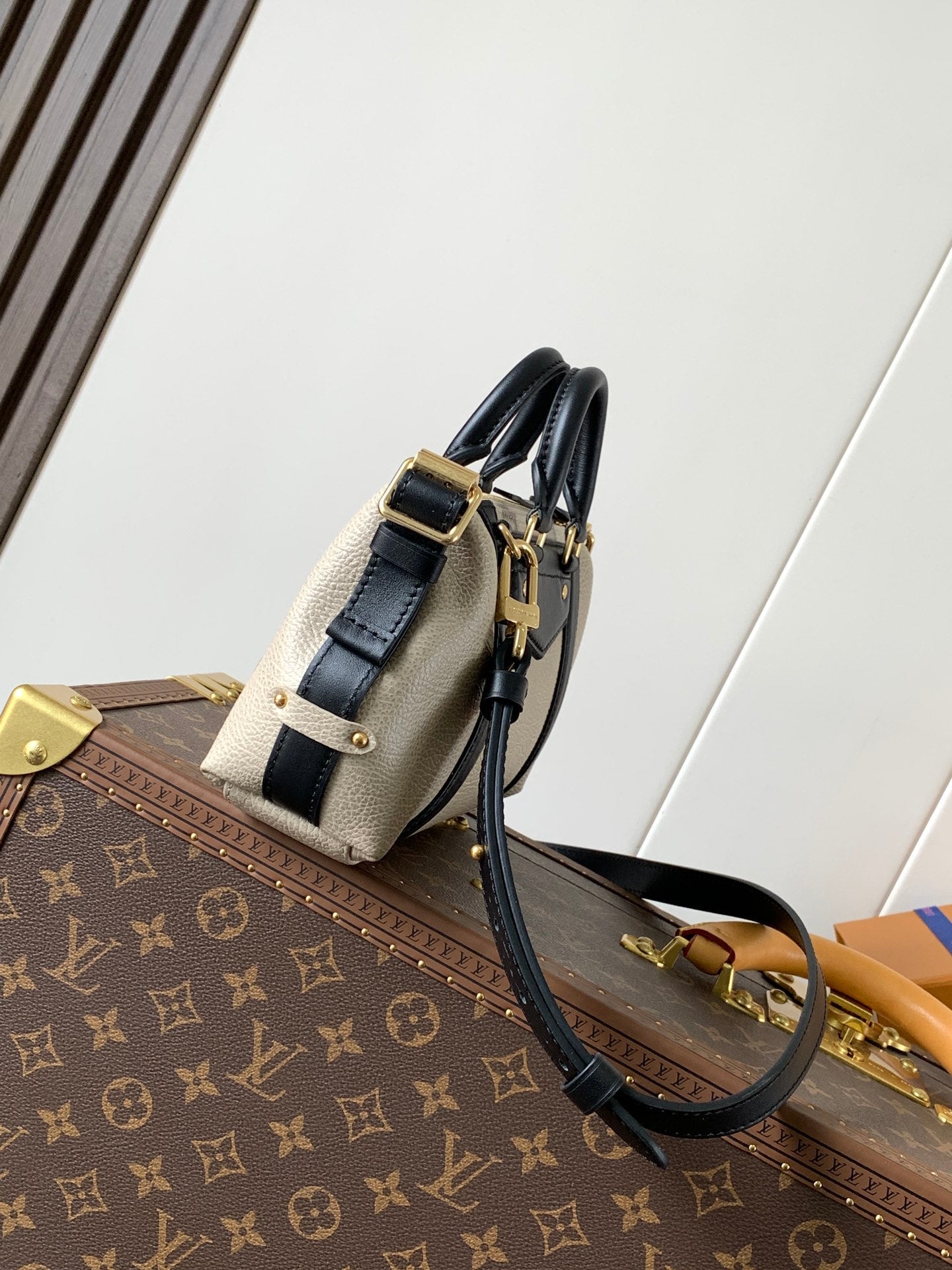 LV Nano LV Biker 23cm Black Beige Sheepskin & Cowhide Metal mysite