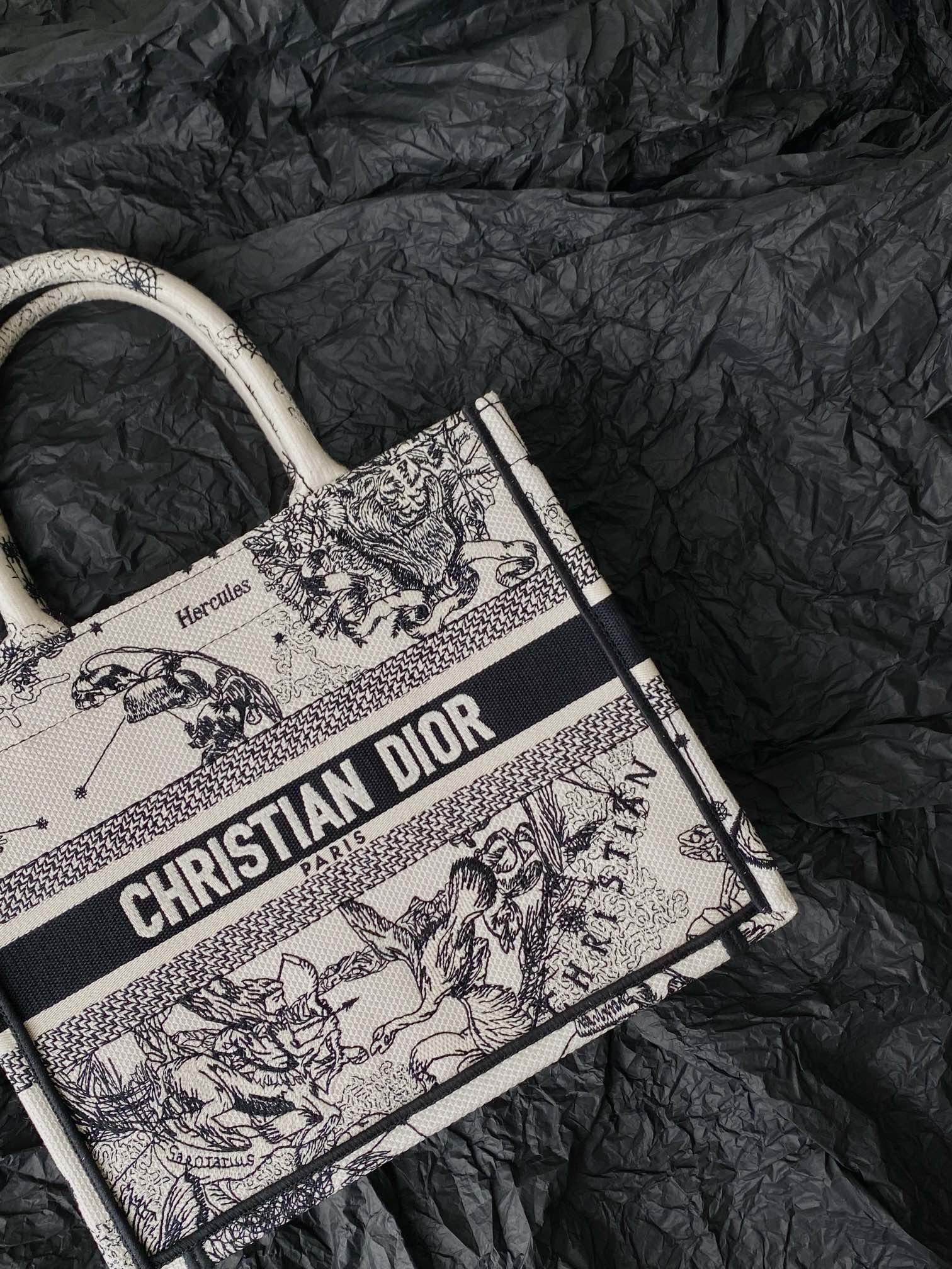 Small CD Book Tote 26.5cm Hercules White mysite